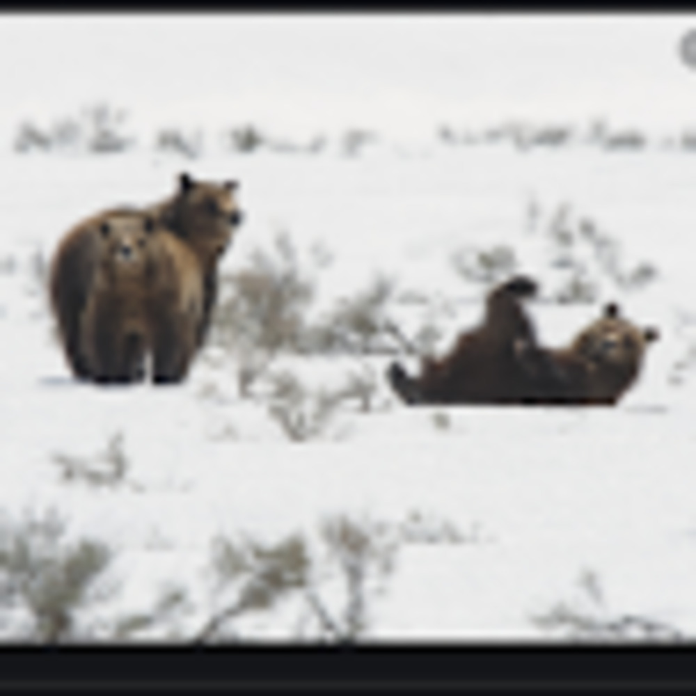 Meet your Posher, Cam